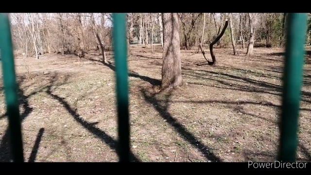 Ботанический сад Краснодар. Жизнь в Краснодаре. Весна в Краснодаре. смотреть онлайн