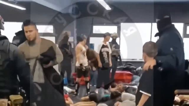 Ой!) Начались проверки на мордобоях, где кучкуются мигранты. С чего бы это? \ Миша Маваши смотреть онлайн