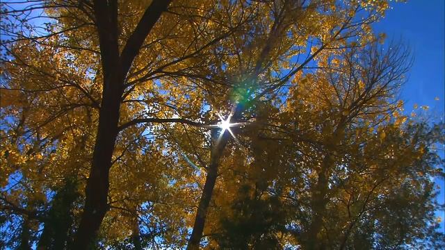 СЛАВЬТЕ БОГА !!! смотреть онлайн