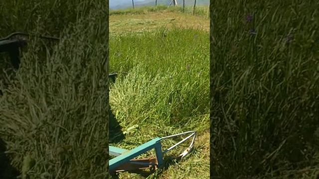 Самодельная косилка Дагестан село Меусиша косит густую люцерну номер 89896711262 для продажи 2023 смотреть онлайн