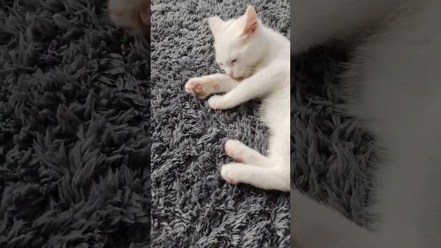 Вкусненько покушал ням ням ням смотреть онлайн