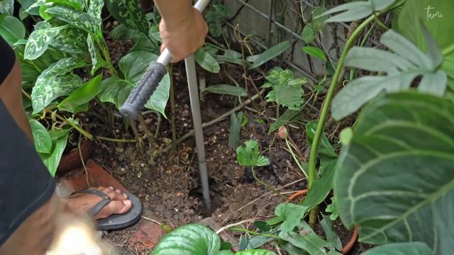 #10: How to make composter & biopore at home | zero waste lifestyle смотреть онлайн