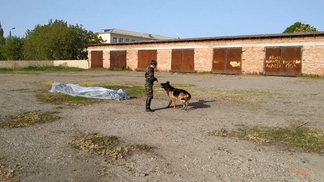 Казачий конный переход Кубанского казачьего центра «Баско» в 2019 году смотреть онлайн