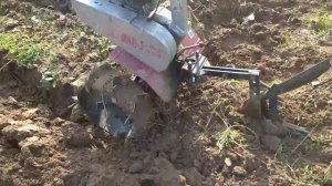 Пашем плугом на мотоблоке Пахарь МКМ-3. Слабонервным не смотреть.
