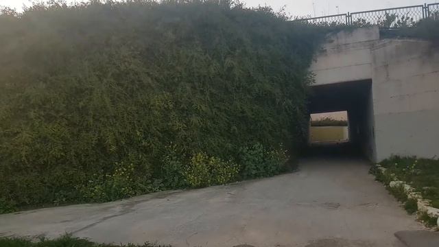 за лавровым листом смотреть онлайн