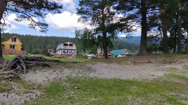 Горный Алтай. Берег реки. Деревья. Стоковое видео. Футаж. / The river bank. Trees. Stock video. смотреть онлайн