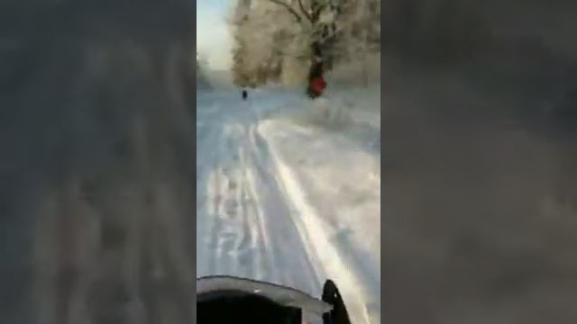 Снегоход Stels Капитан S150 смотреть онлайн