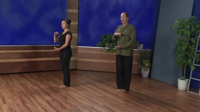 Tai Chi for Beginners 01 “Tai Chi Fundamentals” смотреть онлайн