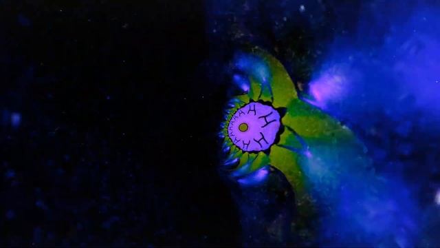 Born Dirty & Diplo - Samba Sujo (Felix Da Housecat & Dave The Hustler Remix) [Official Full Stream] смотреть онлайн