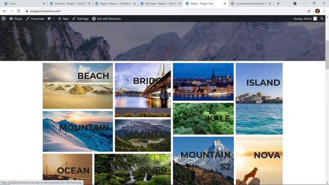 How to Add an Image Gallery in WordPress Using Modula and Elementor Plugin смотреть онлайн