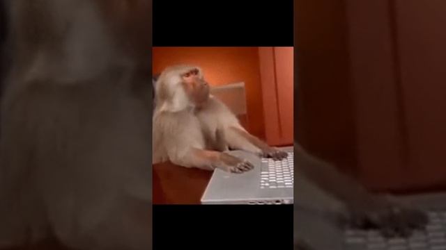 Что делать если у тебя сломался ноутбук #shorts смотреть онлайн