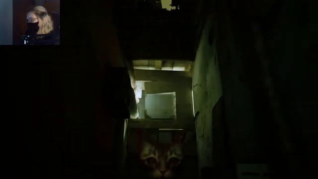 БЕГАЕМ ПО КВАРТИРАМ / Прохождение STRAY #2 смотреть онлайн