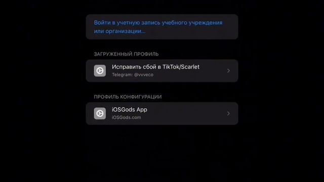 КАК УСТАНОВИТЬ ТИКТОК МОД НА АЙФОН В 2024 ГОДУ,Я ВАМ РАССКАЖУ смотреть онлайн