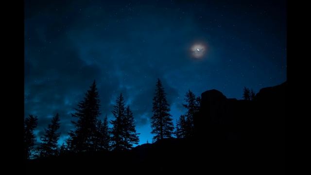 Relaxing Music,звук ночного леса.