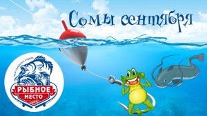 Рыбалка в сентябре на базе РЫБНОЕ МЕСТО.