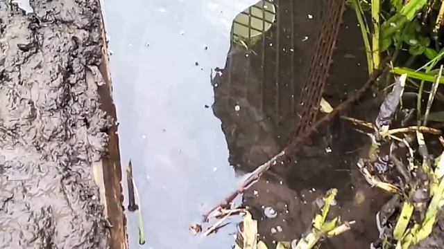 Фантан на даче без электричества смотреть онлайн