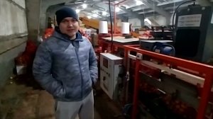 Линия фасовки и упаковки овощей: ИП Чекунов В.П. о сотрудничестве с компанией "Агро Прогресс"