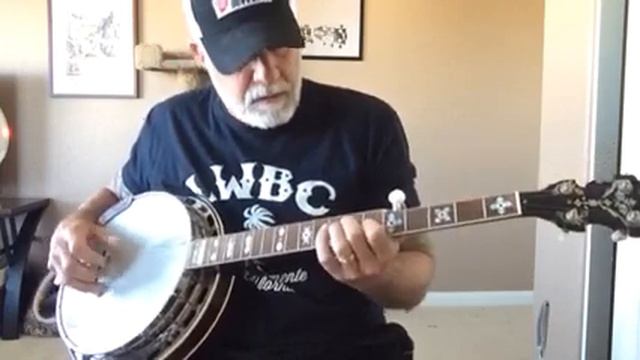 Fortunate Son - CCR Banjo Cover смотреть онлайн