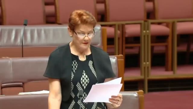 Pauline Hanson's Bold Call to Australians: Demand a Halt on Immigration Now! смотреть онлайн