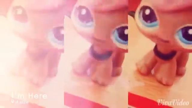 Lps // m.v 🎁ДР МНЕ 12 ура ! 🎂 смотреть онлайн
