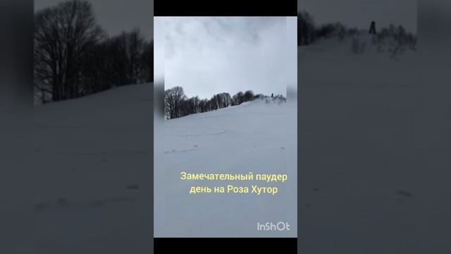 Роза Хутор и Красная поляна трассы и лес смотреть онлайн