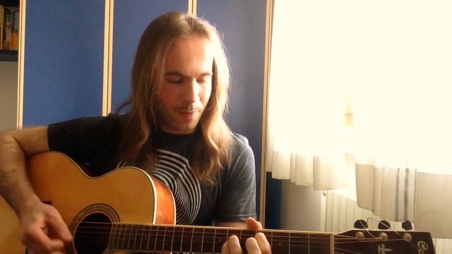 I Wanna be Your Dog Acoustic Cover. Iggy and The Stooges. смотреть онлайн