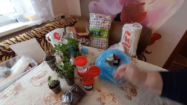 ПОКУПКИ И ПОДАРКИ ОТ МАРИНЫ КАНАЛ (СУРСКИЕ ЗОРИ) смотреть онлайн