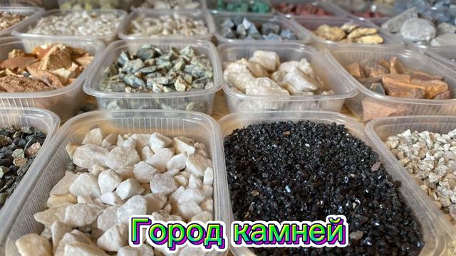 2 февраля 2024 г. смотреть онлайн