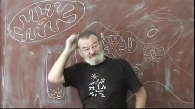 70 Эндосимбиоз, Фотосинтез и хемосинтез, Автотрофы и гетеротрофы смотреть онлайн