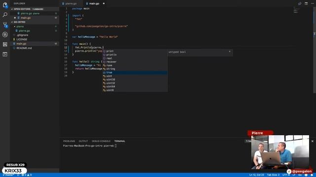 HW #12 - Introduction à Go : package, type & struct смотреть онлайн