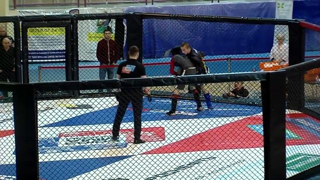 Чемпионат ММА смотреть онлайн