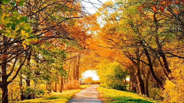 Как грустны сумрачные дни, Афанасий Фет смотреть онлайн