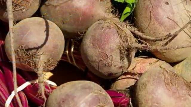 Поздняя посадка Какие культуры сажать если вы опоздали с посевом смотреть онлайн
