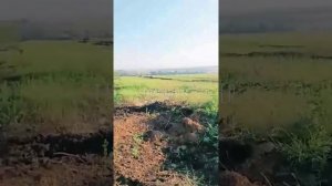 Свежие кадры выжженной техники боевиков на просторах СВО