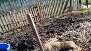 Как сделать грядку для огурцов