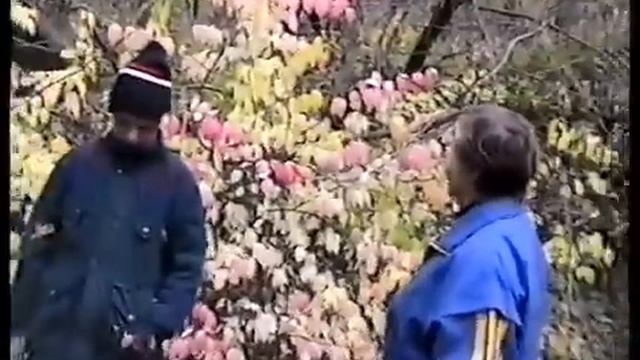 Грибы с Тамарой - ходим парой в лесу Козьи Горы вблизи Гнездово. Пышное природы увяданье смотреть онлайн