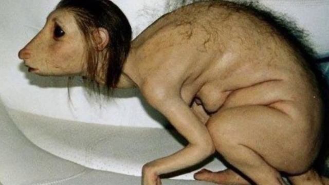 ЖЕНЩИНА ПРЕВРАТИЛАСЬ В КРЫСУ… Полная история Не для слабонервных!