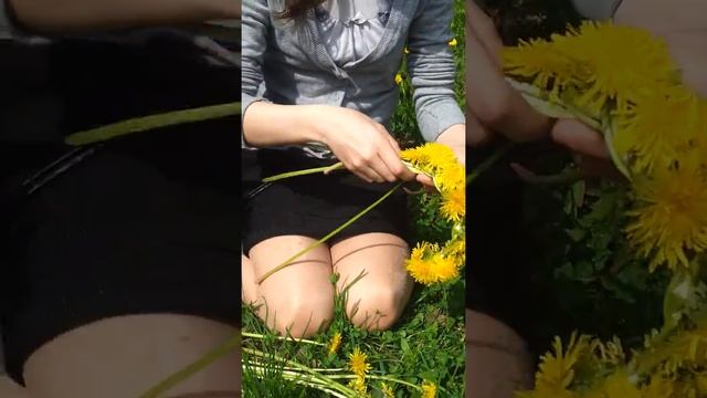 МастерКласс как плести ободок из одуванчиков