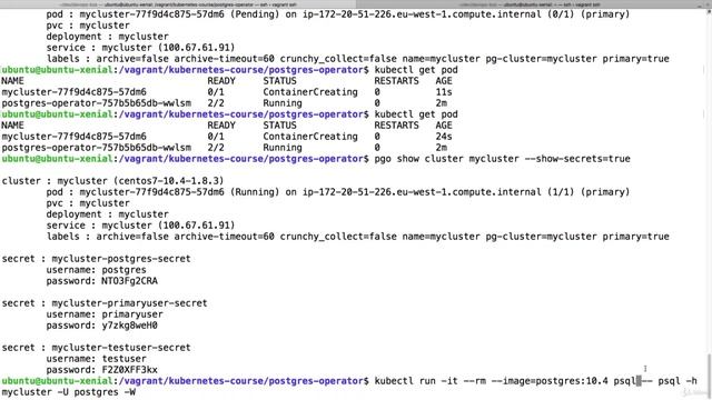 Week 4 Lecture 32 Demo postgresql operator смотреть онлайн