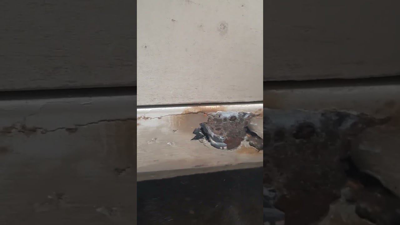 ремонт от перекупов