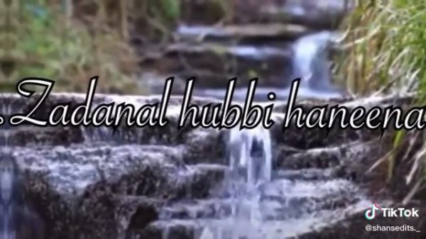 Anasheed maher Zain Mohammed