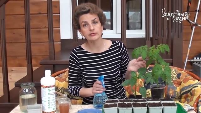 Как сеять огурцы на рассаду Препарат Экомик повысит урожайность огурцов смотреть онлайн