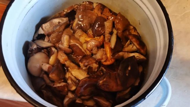 Грибное рагу с овощами - слайд-шоу смотреть онлайн
