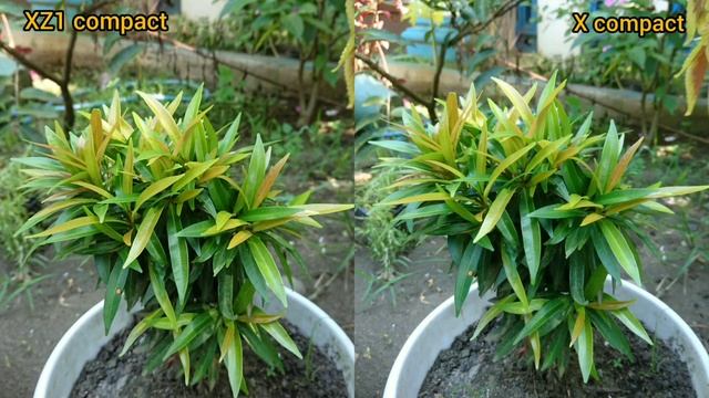 Sony XZ1 Compact vs Sony X Compact, Pilih mana ? смотреть онлайн