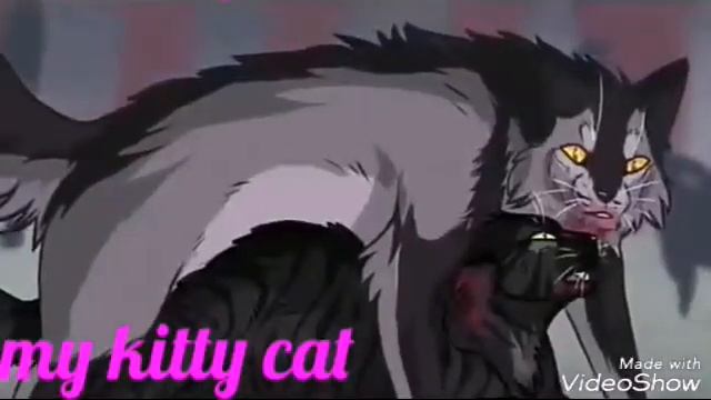 коты воители_огнёзвезд и бич~я убью тебя[КЛИП] смотреть онлайн