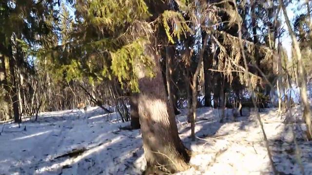 обратный путь ,на реке снега нет смотреть онлайн