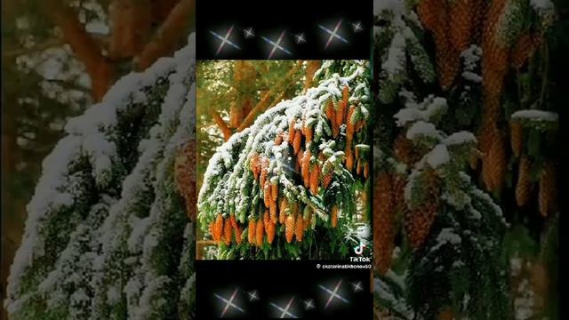 давно наша молодость прошла смотреть онлайн