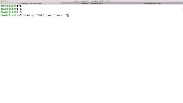 User Input BASH Script смотреть онлайн
