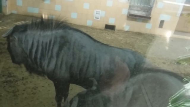 Роев ручей. Что у нас на обед? 1-я серия. смотреть онлайн