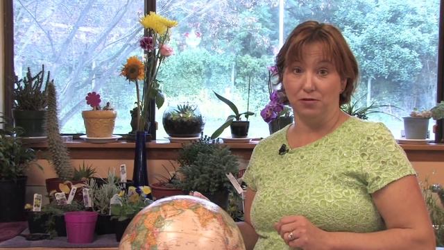 Flower Gardening Tips : How To Grow Lungwort (Pulmonaria)